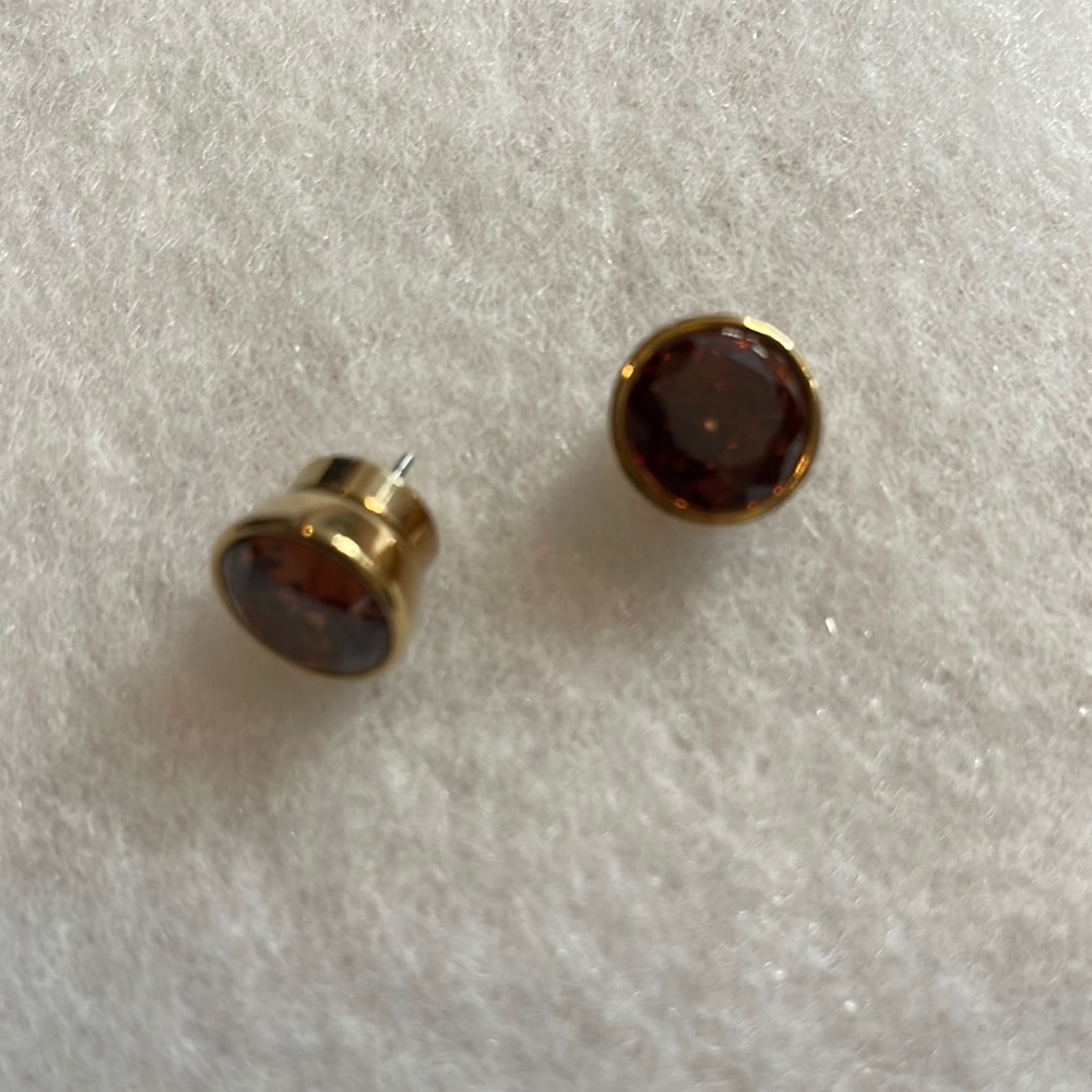 Michael Kors Earrings